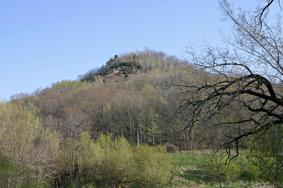 Bluffland Prairie